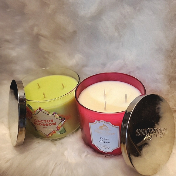 Cactus Blossom 3-Wick Candles - Picture 3 of 3